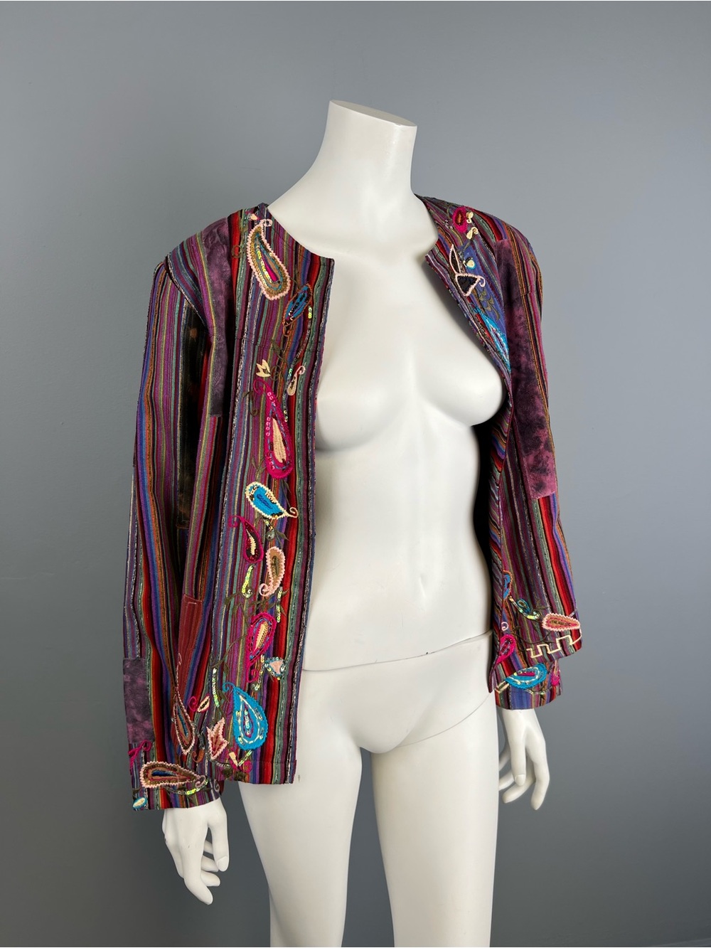 Vintage NWT National Geographic Embroidered Multicolor Striped Womens Jacket
